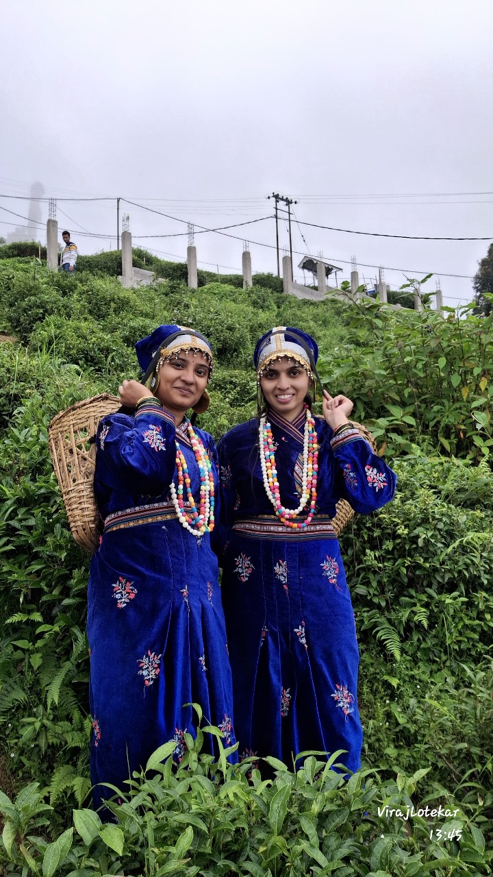 Vishal Lotekar Gallery